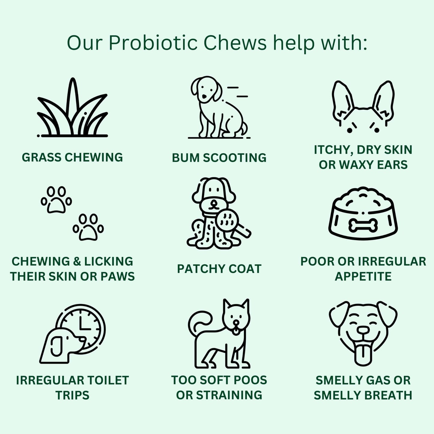 Probiotic Chews For Dogs