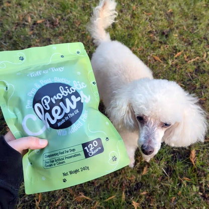 Probiotic Chews For Dogs