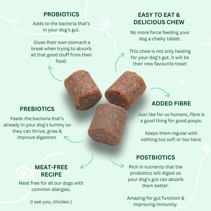 Probiotic Chews For Dogs